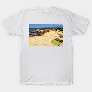 El Malpais Sandstone Bluffs T-Shirt